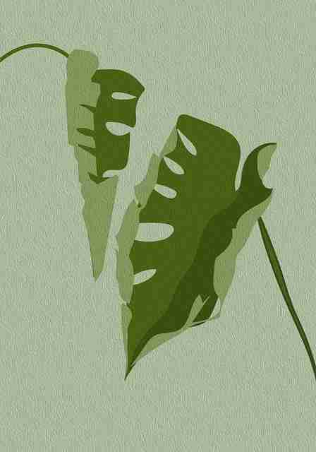 神级操作！每日大赛冷门宝藏背后真相