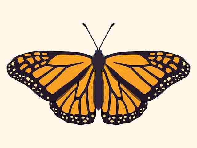 剪辑秘籍！蘑菇视频电脑版品牌联名榜单