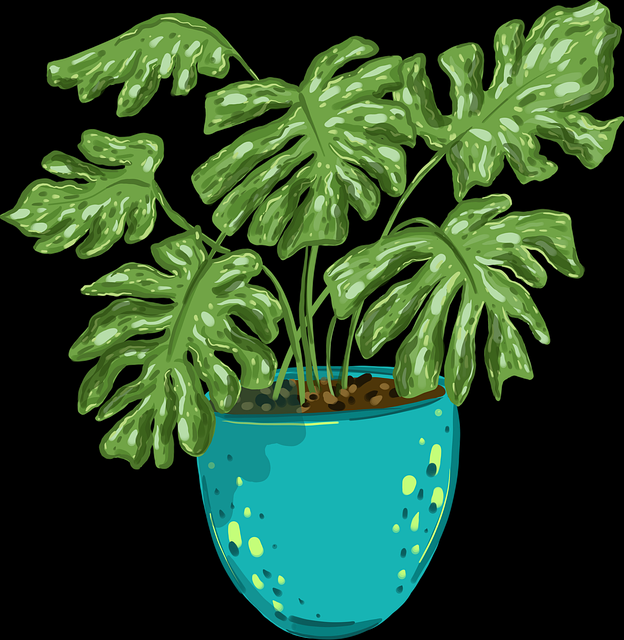 91视频生态地图·黑粉集结警示录