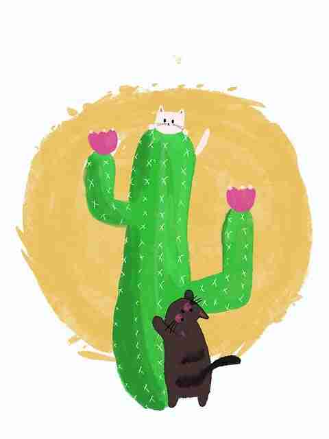 新91视频——互动弹幕体验分享必读