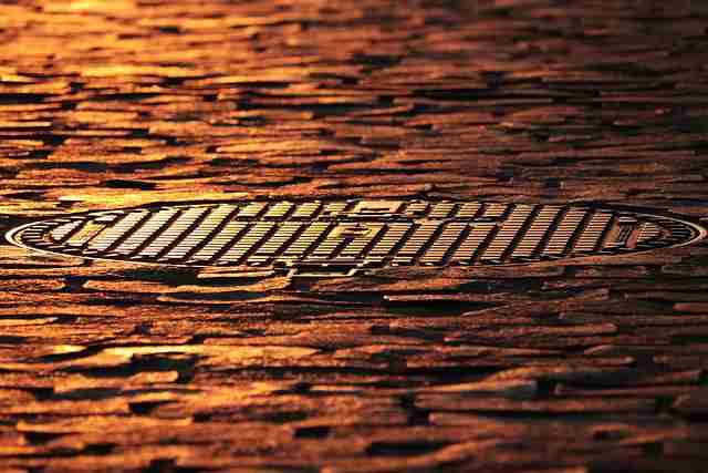 蘑菇视频电脑版内容攻略·观影指南快报