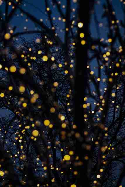 用户画像！蘑菇视频电脑版趋势前瞻深读