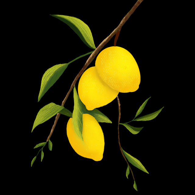 互动玩法!P站官网入口运营白皮书实战分享